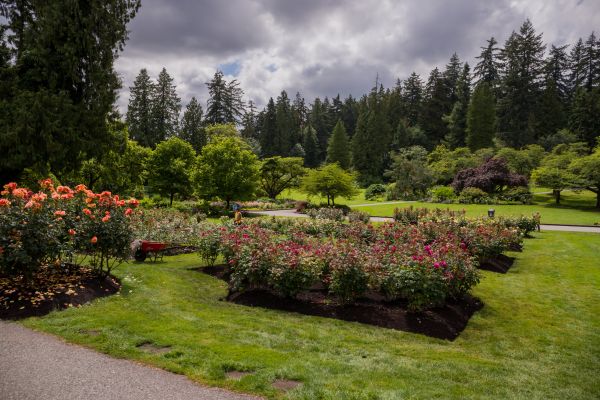Flower Garden Landscaping in Manchester