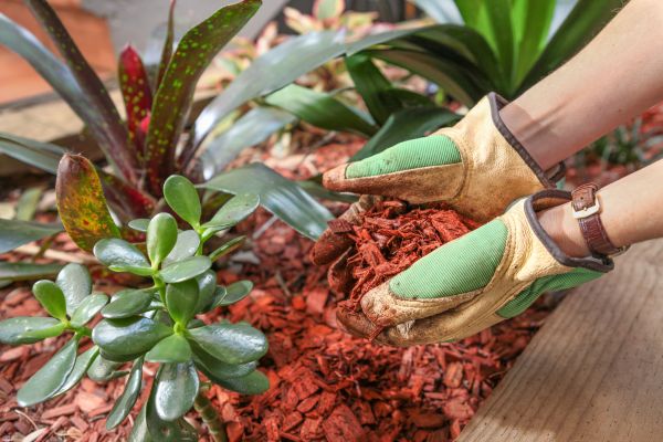 Cedar Mulch Installation in Manchester