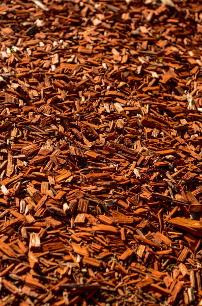 Cedar Mulch Spreading in Manchester