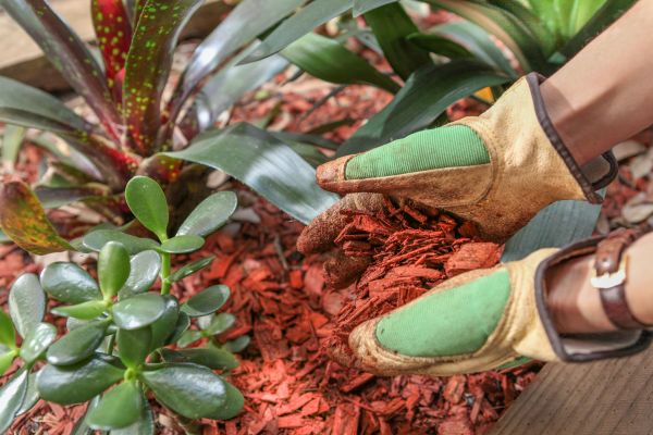 Residential Mulching in Manchester