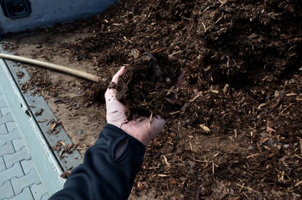 Condo Mulching in Manchester