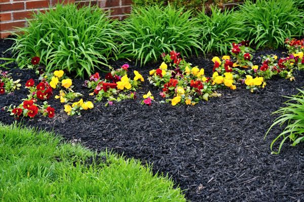 Apartment Mulching in Manchester