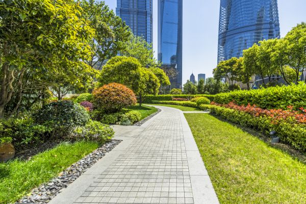 Commercial Landscaping in Manchester