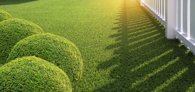How Artificial Grass Improves Outdoor Living Spaces