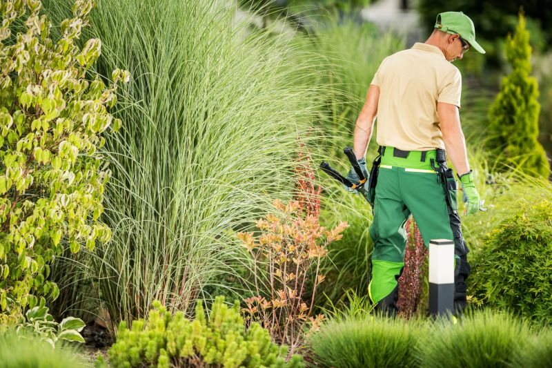 Residential Landscaping Experts